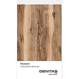 Gentaş Werzalit 80x140 Masa Tablası